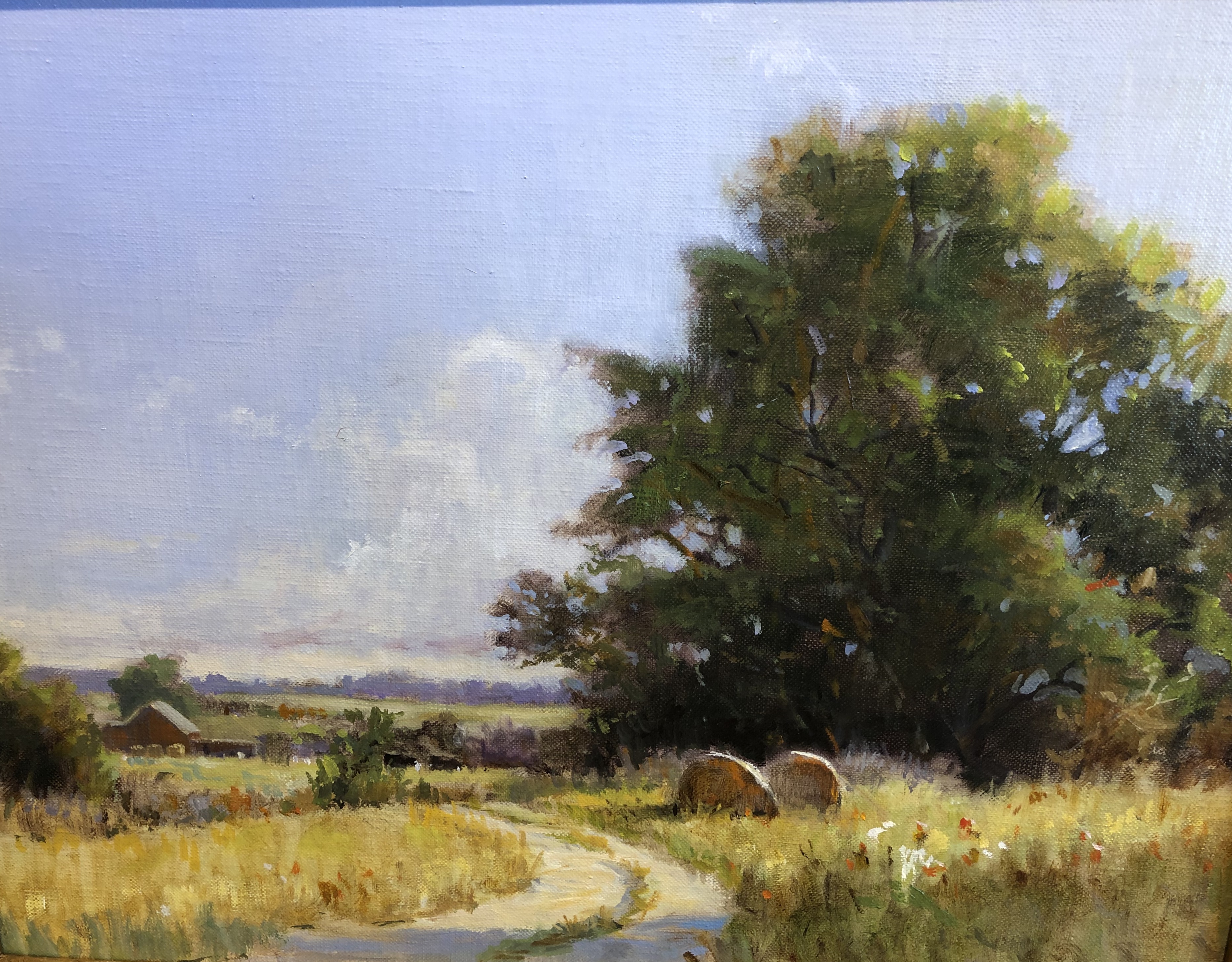 Mallory Agerton