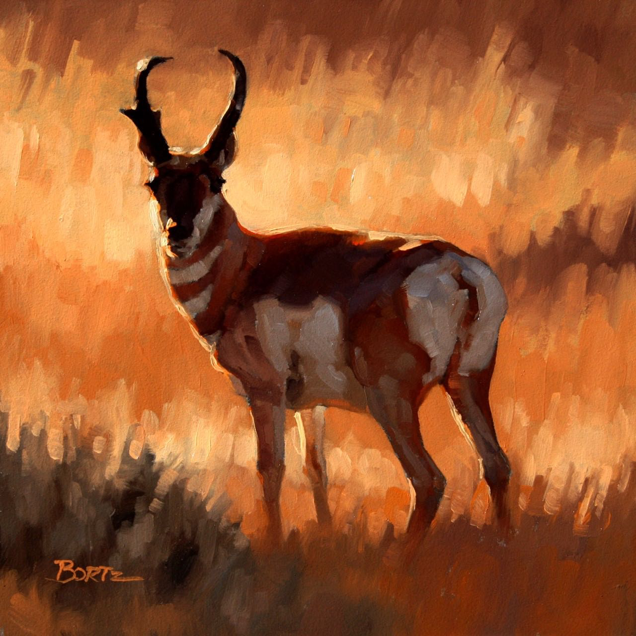 Jim Bortz