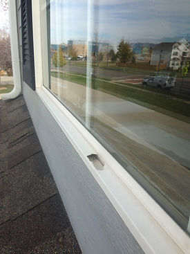 Hail Damaged windows