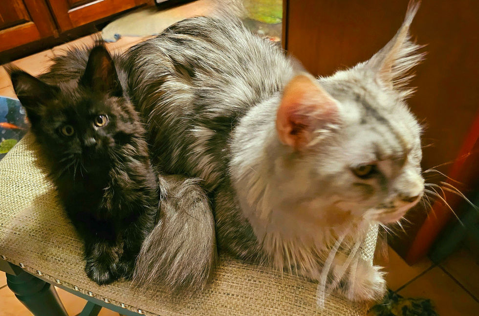 Zara and Little Bear