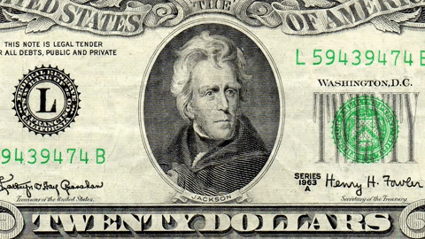 Animated GIF-downsized_large (1).gif