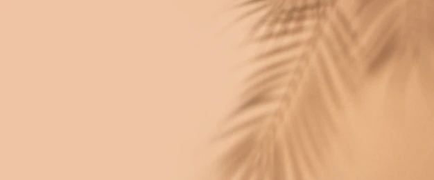 shadows-tropical-leaves-palm-tree-light-brown-background-top-view-flat-lay-banner_164357-8