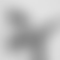 This Year Open Your Audiences' Eyes and Ears to Your Published Workouts.