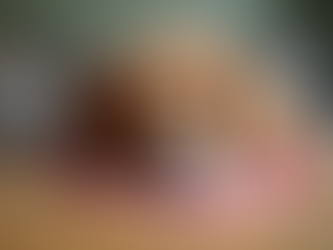 dog laying on a dog bandana