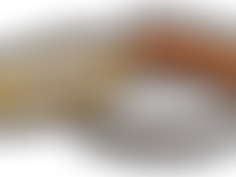 Merit award wristbands in bronze, silver, and gold colours