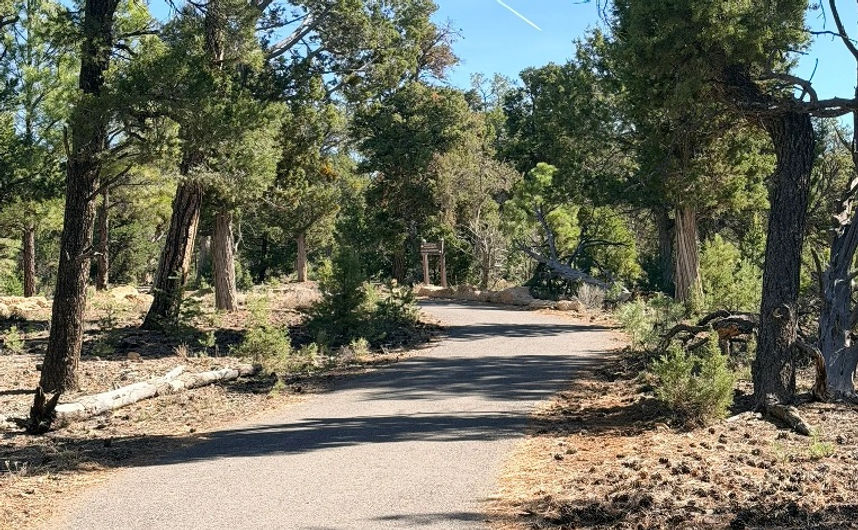 greenway bike trail view.jpg