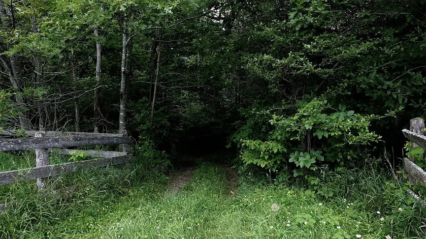 larsfolk gravel pit trail.webp