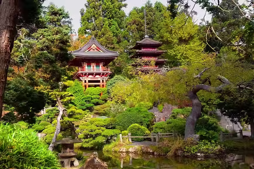 JAPAN TEA GARDEN.avif