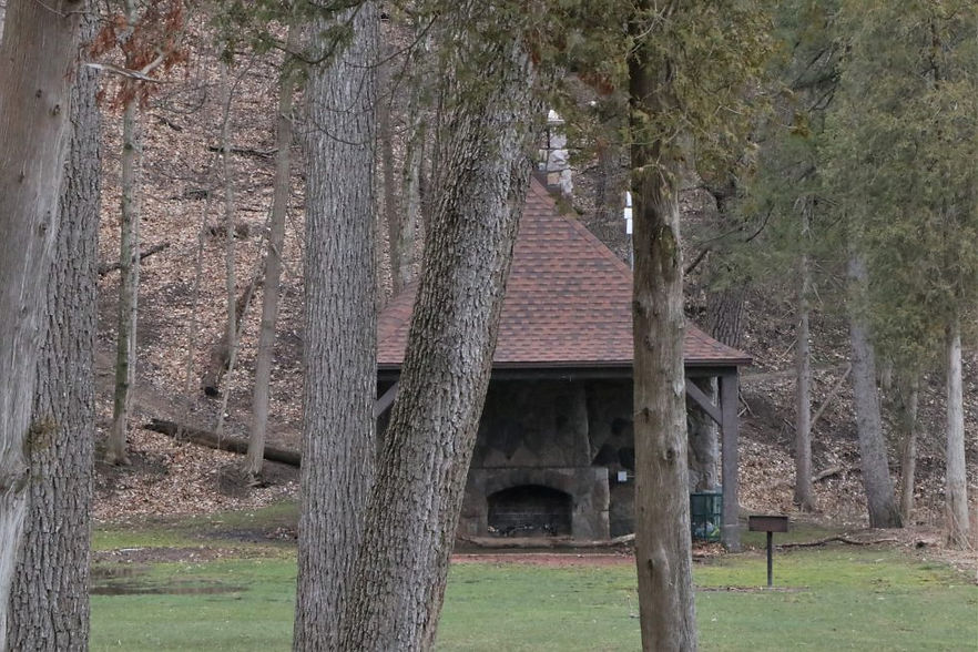 pets witches house.jpg