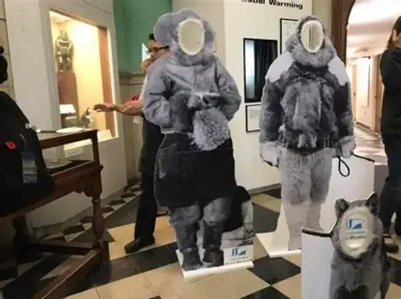 arctic2.webp