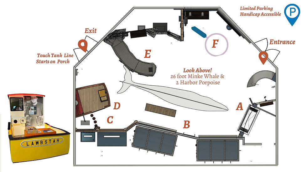 Layout map for website.png