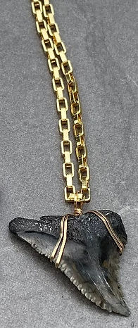 shark tooth necklace.jpg