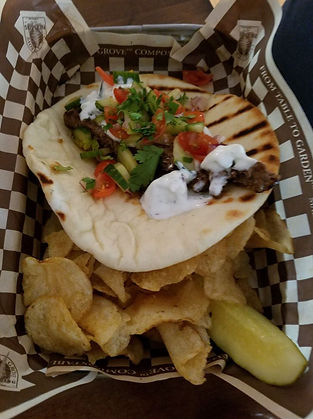 bison gyro.jpg