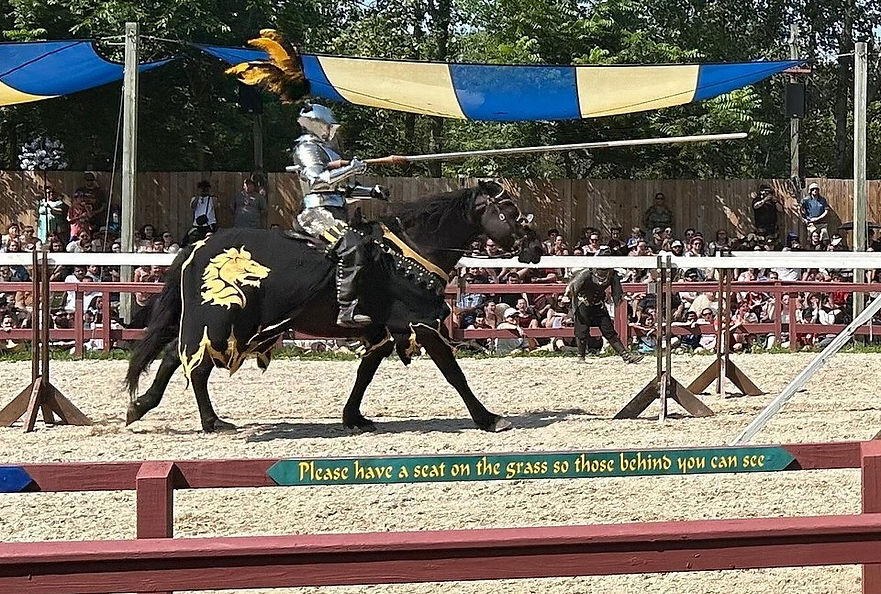 joust.jpg