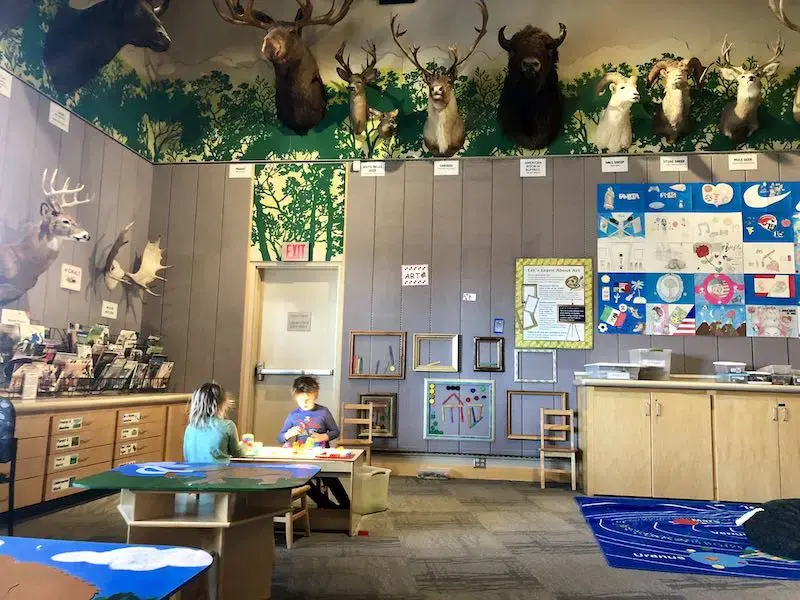 kpm kids area.webp