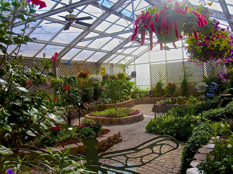 butterfly house2.jpg