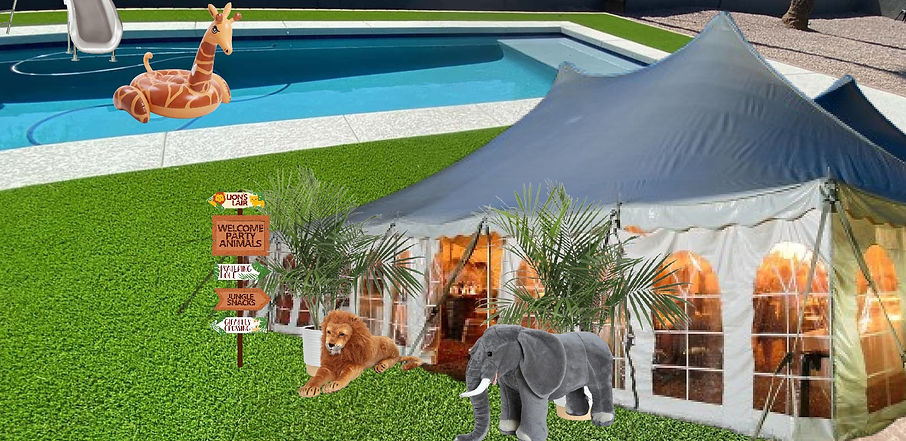 safari backyard.jpg