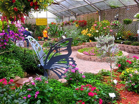butterfly house1.jpg