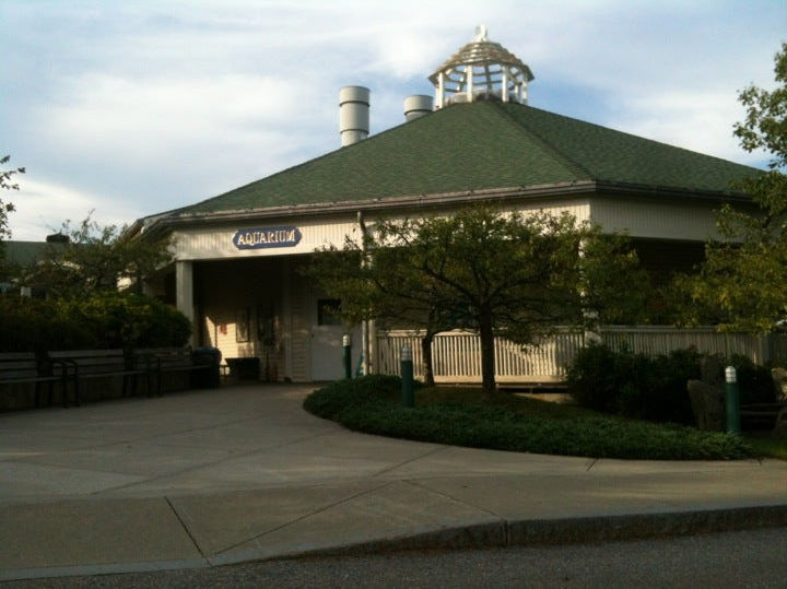 booth bay aquarium.jpg