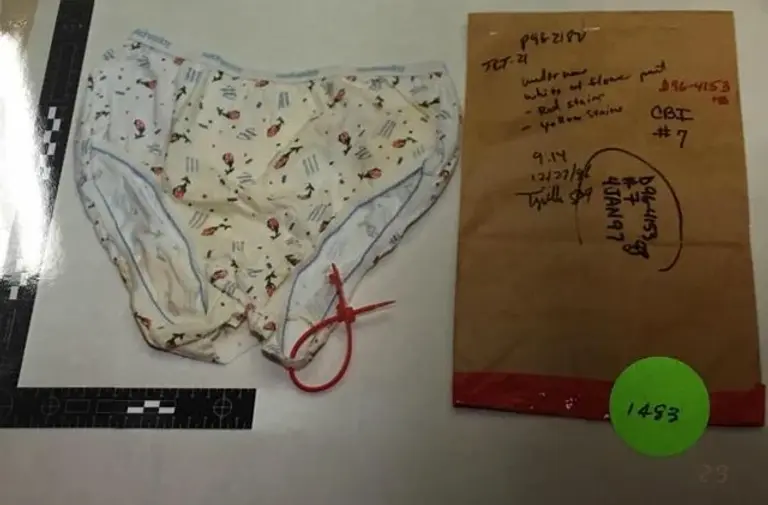 jb panties.webp