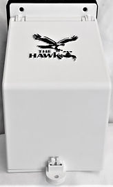 Hawkpainted2.jpg