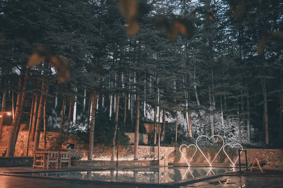 Aşk Ormanı mekan fotoğrafı 9