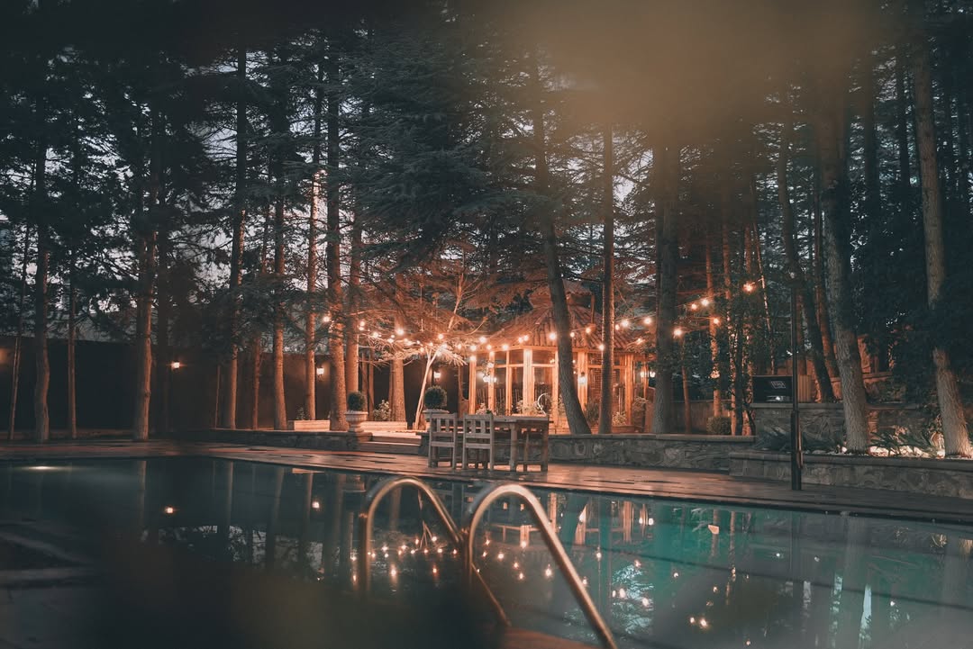 Aşk Ormanı mekan fotoğrafı 1