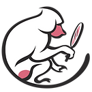 mirror.png