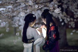2017-03-27 Night Cherry Blossom - 00113