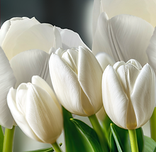 Lente