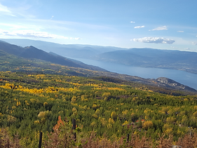 Valley in October small.png