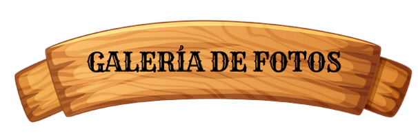 GALERIA DE FOTOS TRANS.PNG