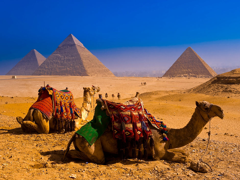 camels__great_pyramids_of_giza__egypt-wa
