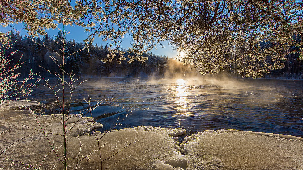 Finland_Rivers_Branches_482130_2560x1440
