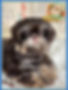 IMG_1304.png