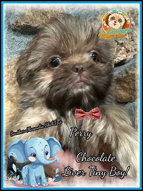 image_50802177 (5).JPG