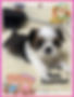 IMG_8259.png