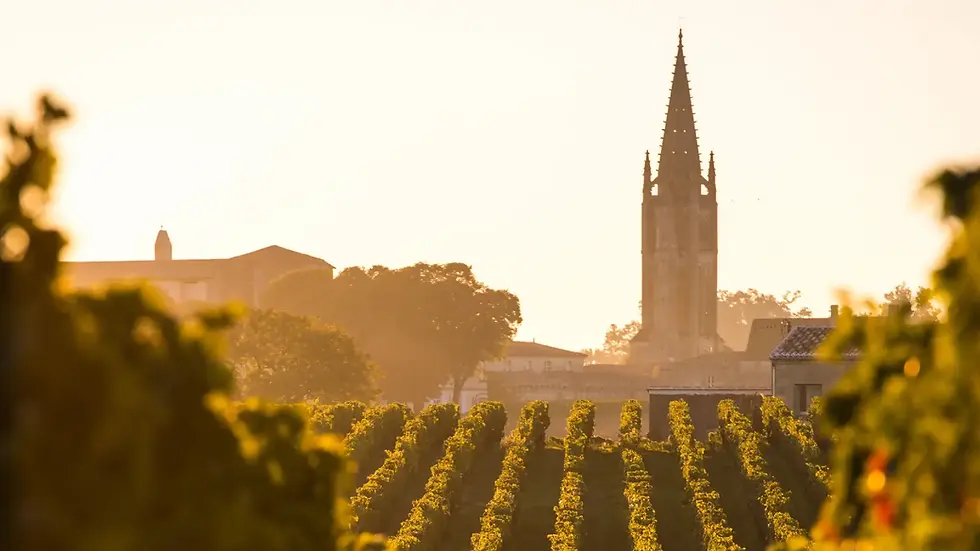 Weindorf Saint Emilion.webp