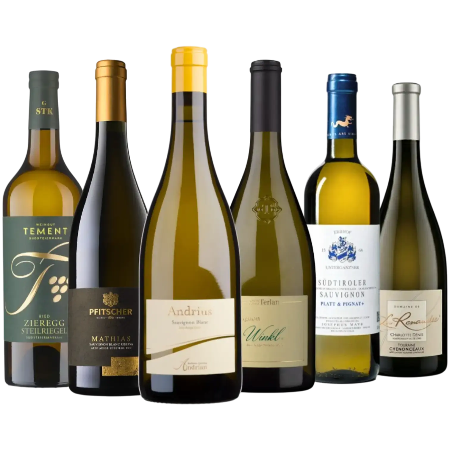 Sommelier-Paket Sauvignon Blanc mit ausgewählten frischen Weißweinen aus internationalen Spitzenlagen bei Weinwelt Probst