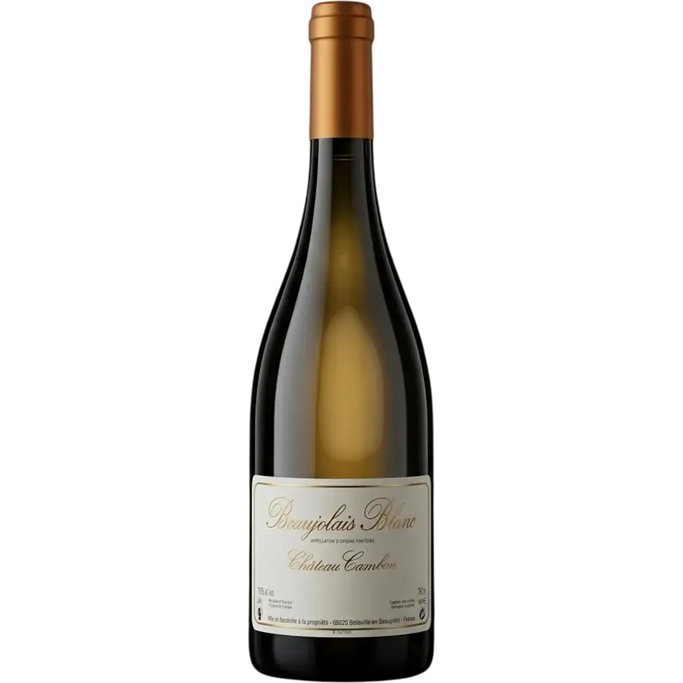 Flasche Château Cambon Beaujolais Blanc 2023, seltener Chardonnay aus dem Beaujolais