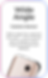 big3.png