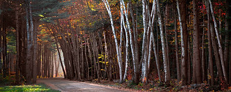 wadleigh road fin_edited.jpg