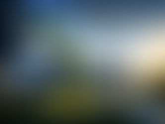 CONSERTANDO O BRASIL – V