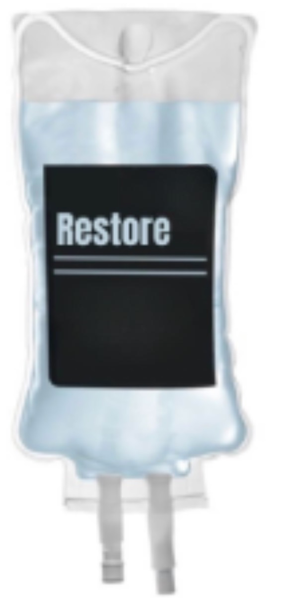 Restore 2