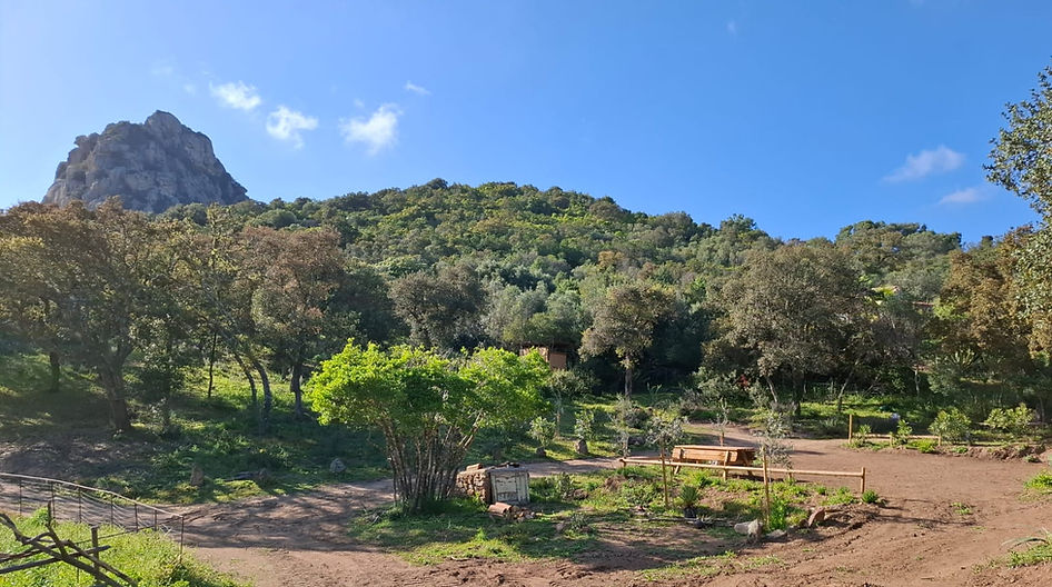 emplacement en bas avec montilongu.jpg