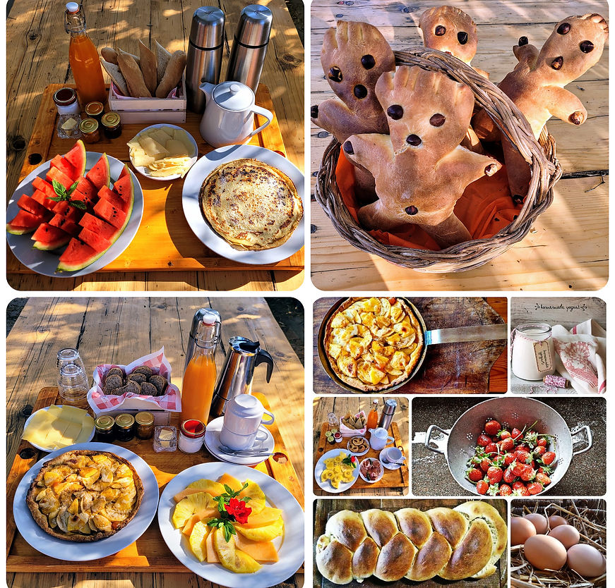 our homemade breakfast with our and local produce