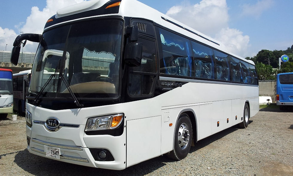 Bus Grande