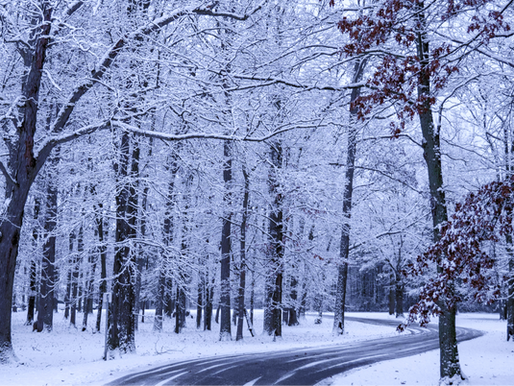 Skidding, Sledding, and the Secret Power of Systems