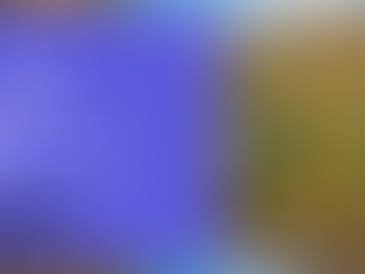 SEFS14 Abstract Book Published