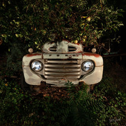 Ford under the apple tree